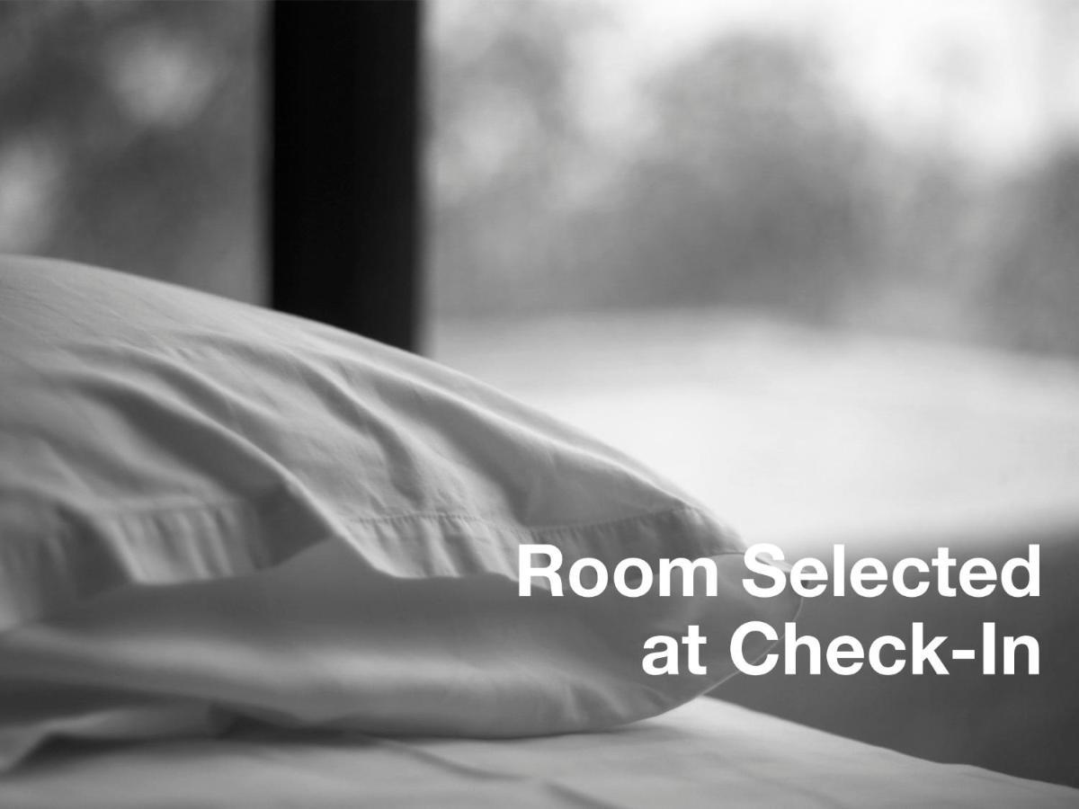 Staybridge Suites - Houston - Medical Center By Ihg Rum bild